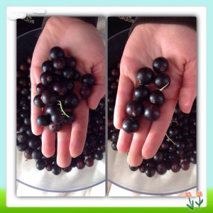 10341597_588448251254234_1700136667149117242_n