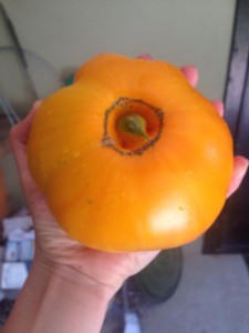 10527764_604842259614833_7598671028774446976_n