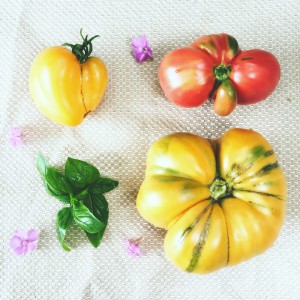 15403083_1273007009438917_1126754224_n